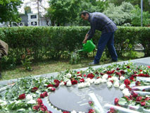 Planting Roses Around Alexander Spendiaryan's Grave